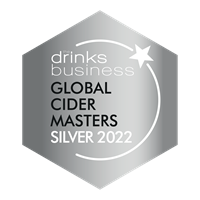Silver for Stowford Press Apple