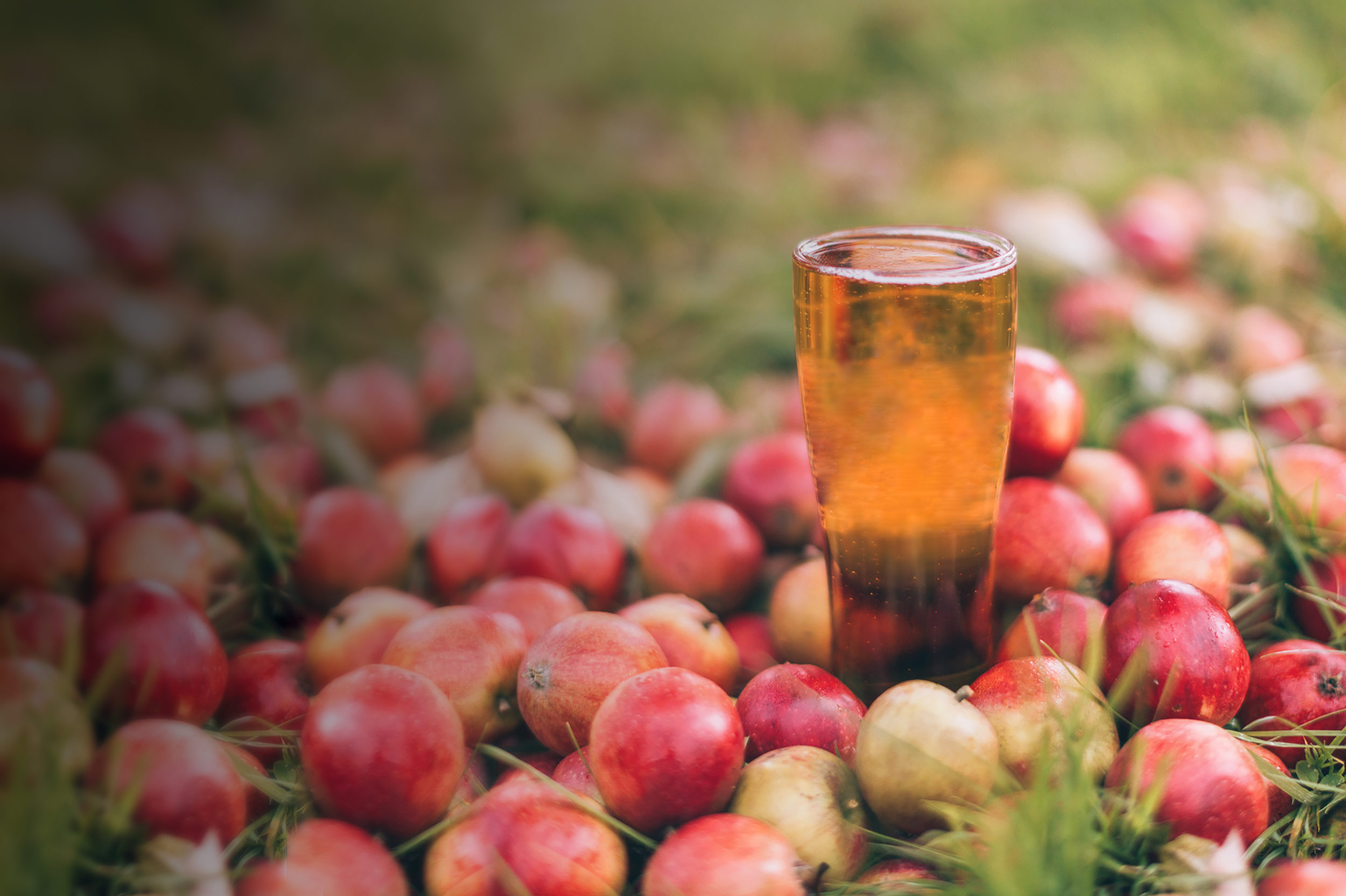 Westons Passion Header Background