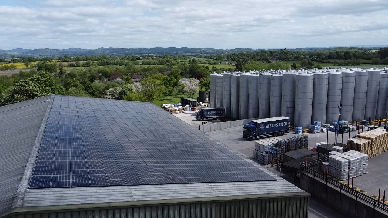 Dji Export 1652444714473