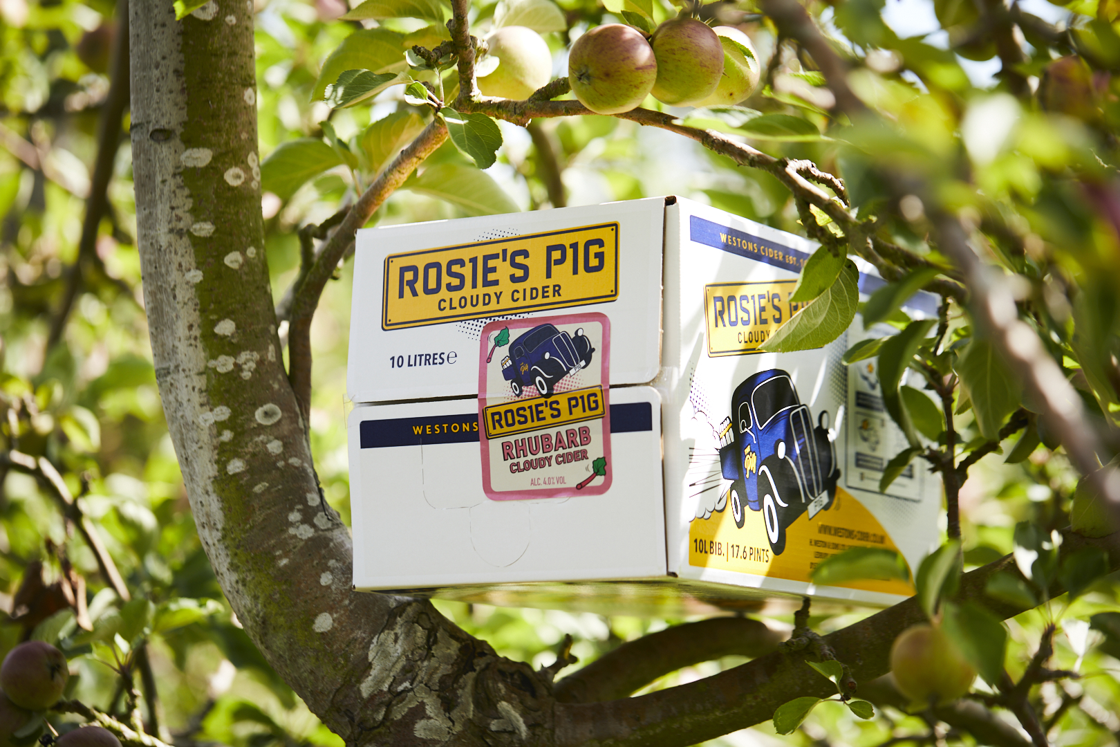 Rosie's Pig Cloudy Rhubarb Still Cider